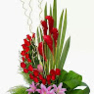 Meet your Posher, Araceli